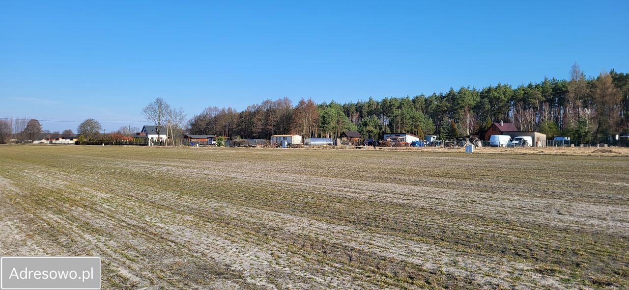 Działka rolno-budowlana Wilków. Zdjęcie 3