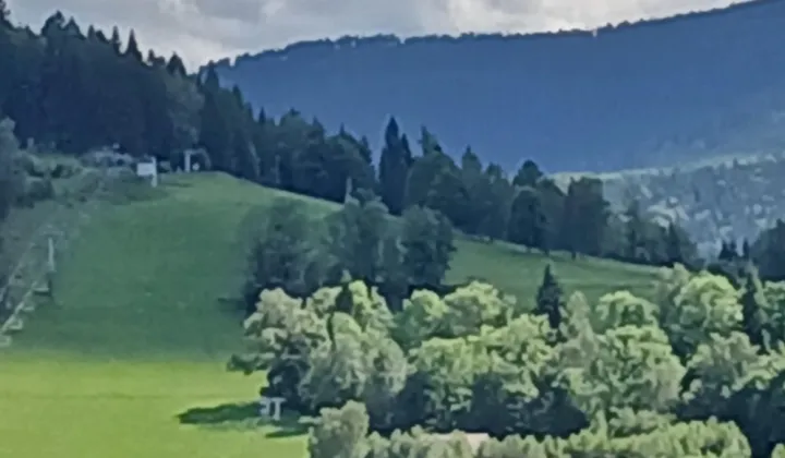 Mieszkanie 3-pokojowe Bolesławów, Bolesławów