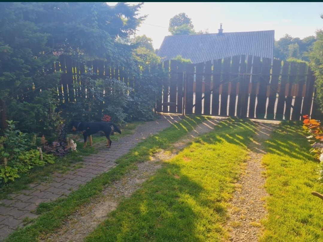dom wolnostojący, 3 pokoje Ryczów, ul. Jana Pawła II. Zdjęcie 8