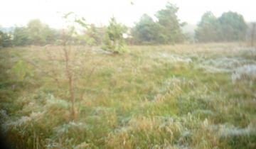 Działka budowlana Wielęcin Czworaki, Wielęcin. Zdjęcie 1