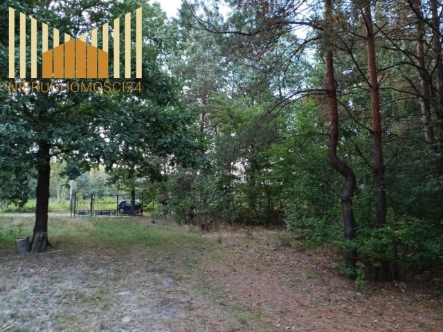 Działka budowlana Ostrów. Zdjęcie 3