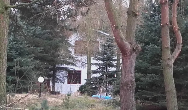 dom wolnostojący, 2 pokoje Arciechów Myszyniec, ul. Orzechowa