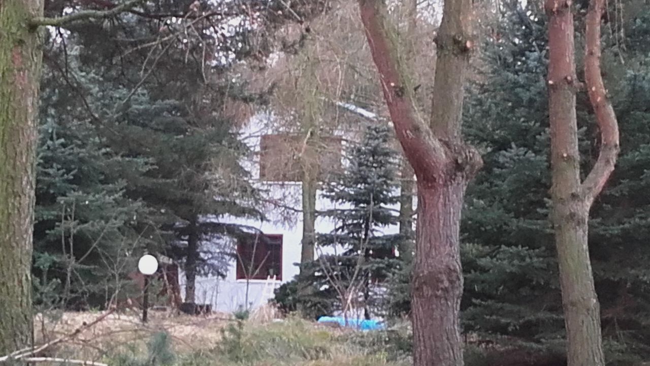 dom wolnostojący, 2 pokoje Arciechów Myszyniec, ul. Orzechowa. Zdjęcie 7