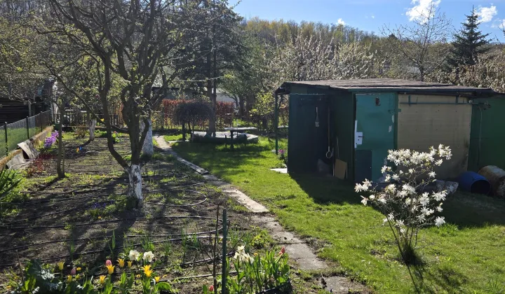 Działka rod Gdynia Orłowo, ul. Spółdzielcza