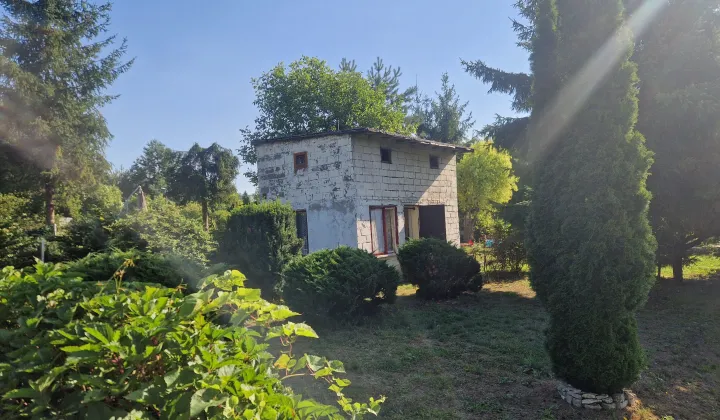 Działka rod Czeladź Piaski, ul. Borowa