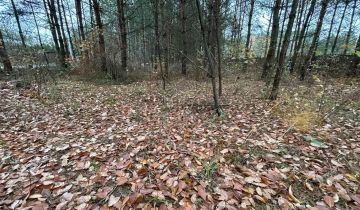 Działka rekreacyjna Brzeziny, ul. Komunalna