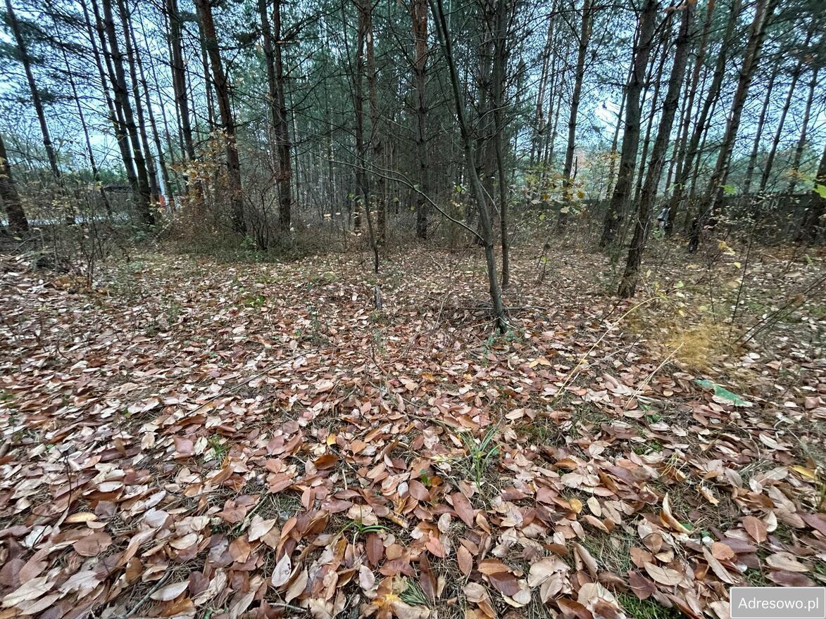 Działka rekreacyjna Brzeziny