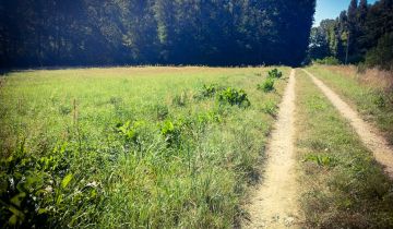 Działka budowlana Końskie, ul. Gimnazjalna