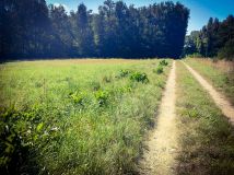 Działka budowlana Końskie, ul. Gimnazjalna. Zdjęcie 1