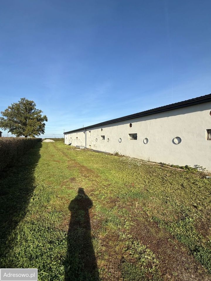 Hala/magazyn Pielgrzymowice. Zdjęcie 12