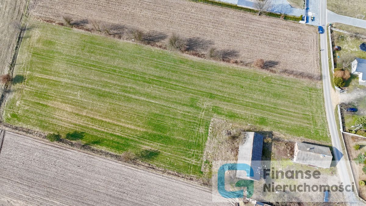 Działka inwestycyjna Głuchówek. Zdjęcie 7