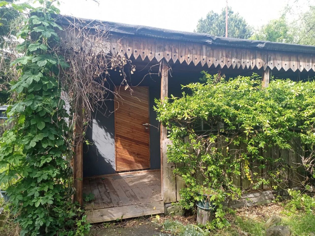 Działka rod Katowice Załęska Hałda, ul. Kochłowicka. Zdjęcie 2