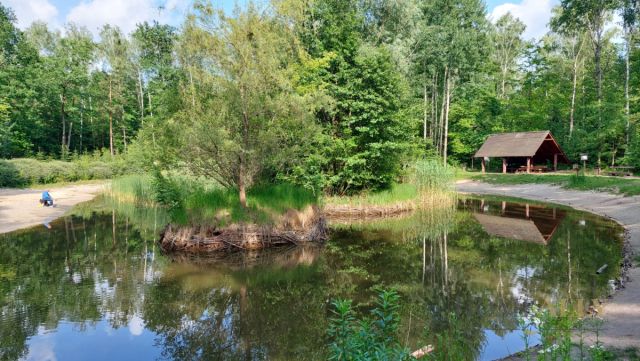 dom wolnostojący, 7 pokoi Warszawa Wesoła. Zdjęcie 28
