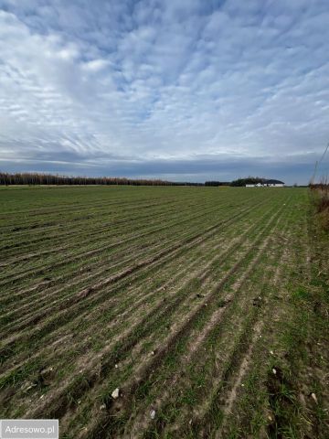 Działka budowlana Wólka Gonciarska. Zdjęcie 1