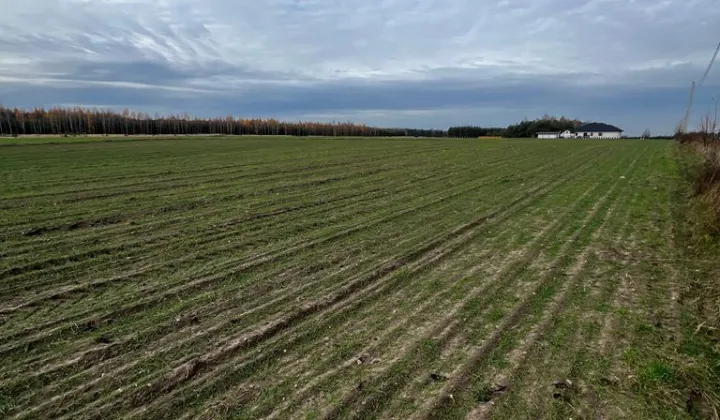 Działka budowlana Wólka Gonciarska