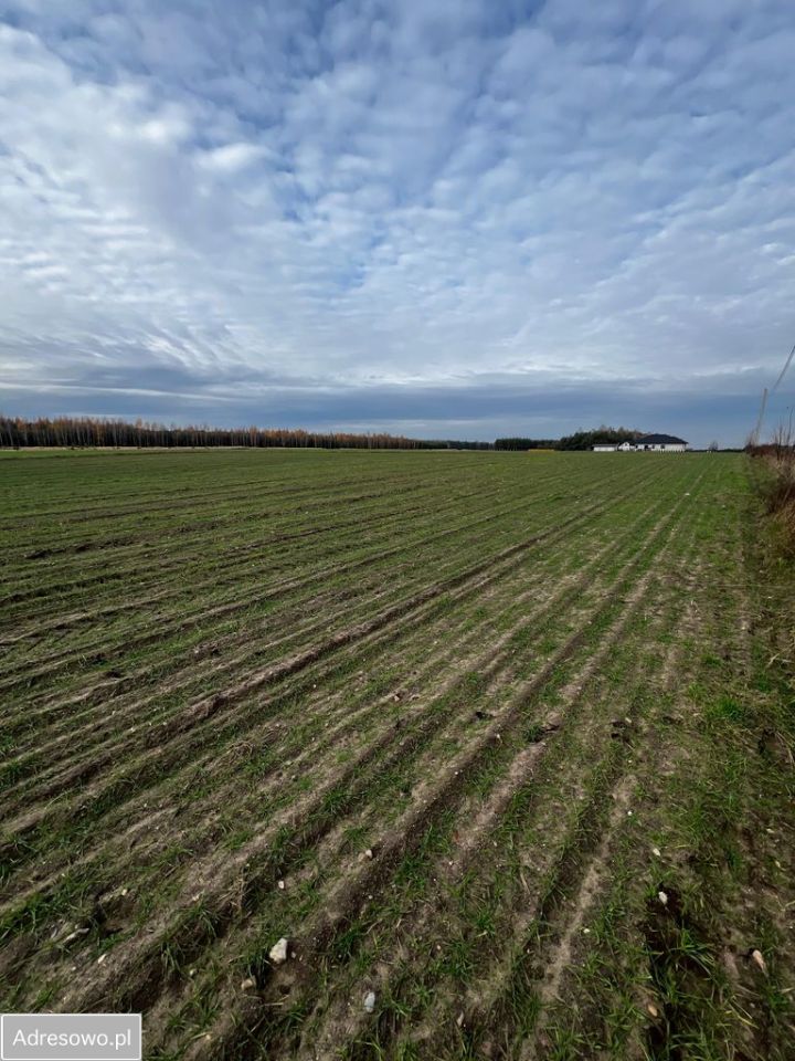 Działka budowlana Wólka Gonciarska