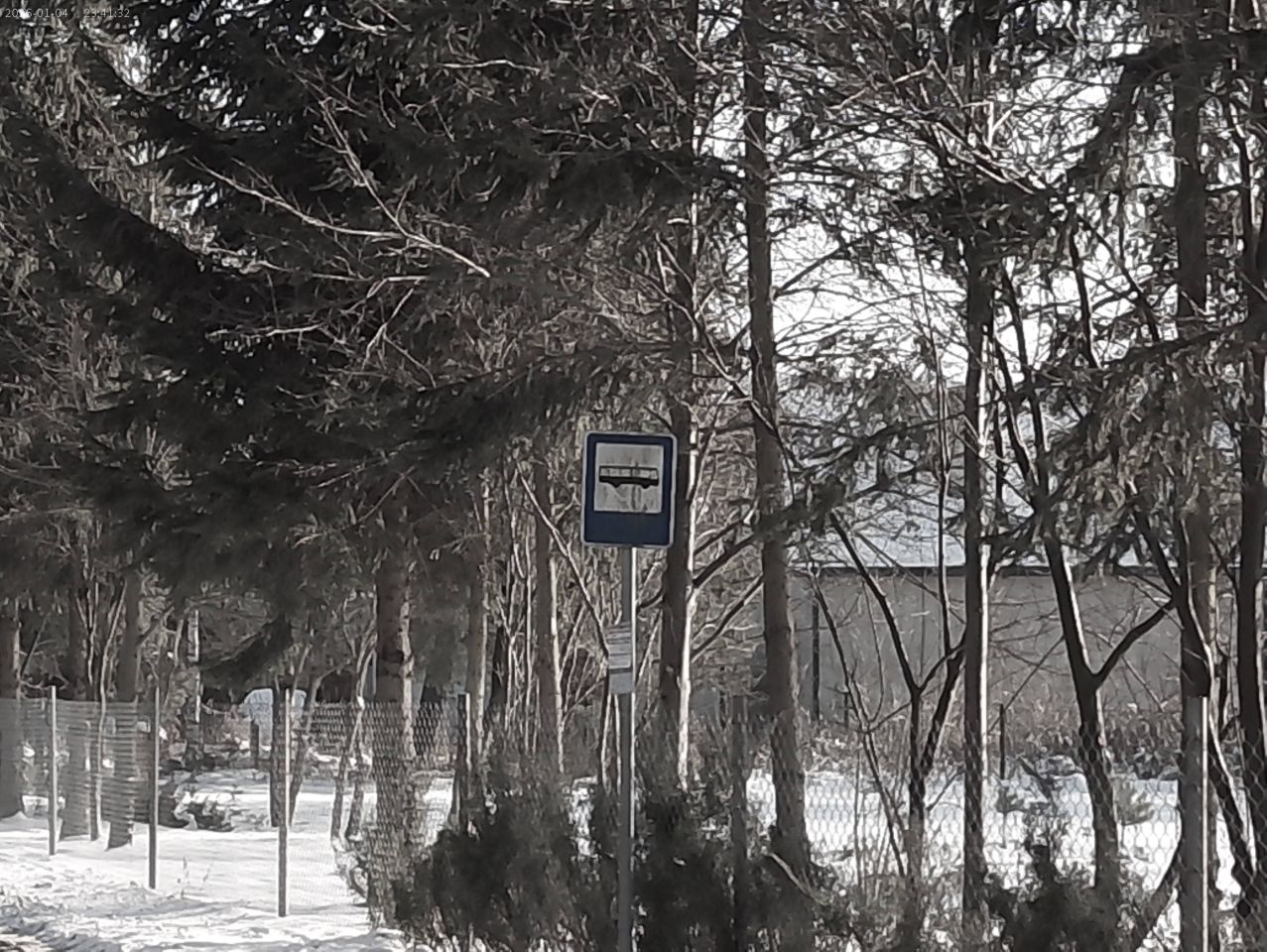 Działka leśna Marynino. Zdjęcie 17