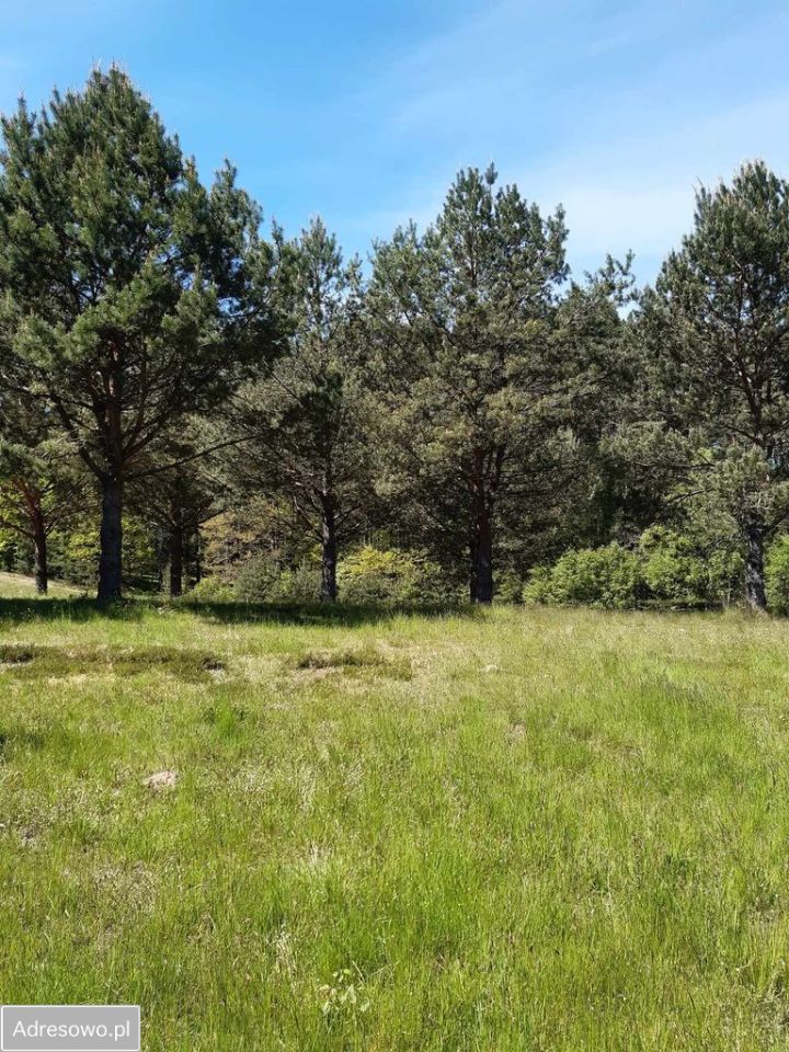 Działka budowlana Leśniewo, ul. Złota Dolina. Zdjęcie 6