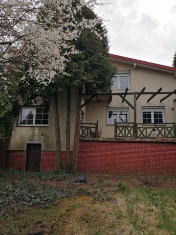 bliźniak Legnica. Zdjęcie 1