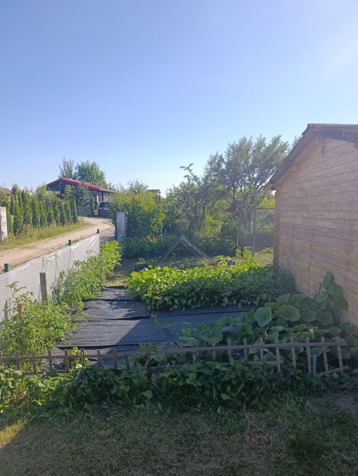 Działka rod Gdańsk Jasień. Zdjęcie 5