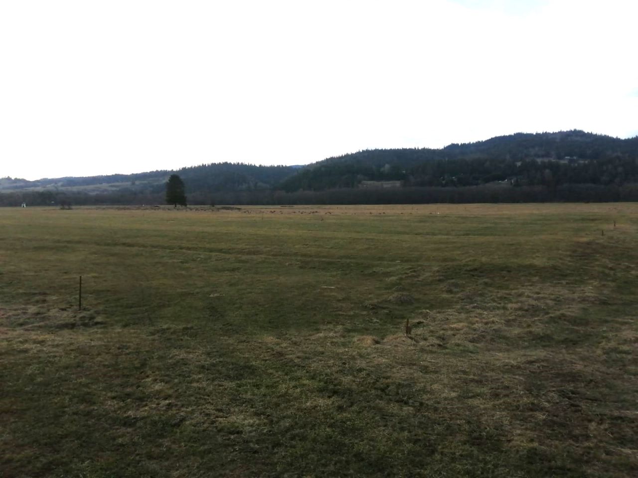 Działka budowlana Harklowa, ul. Nowotarska. Zdjęcie 2