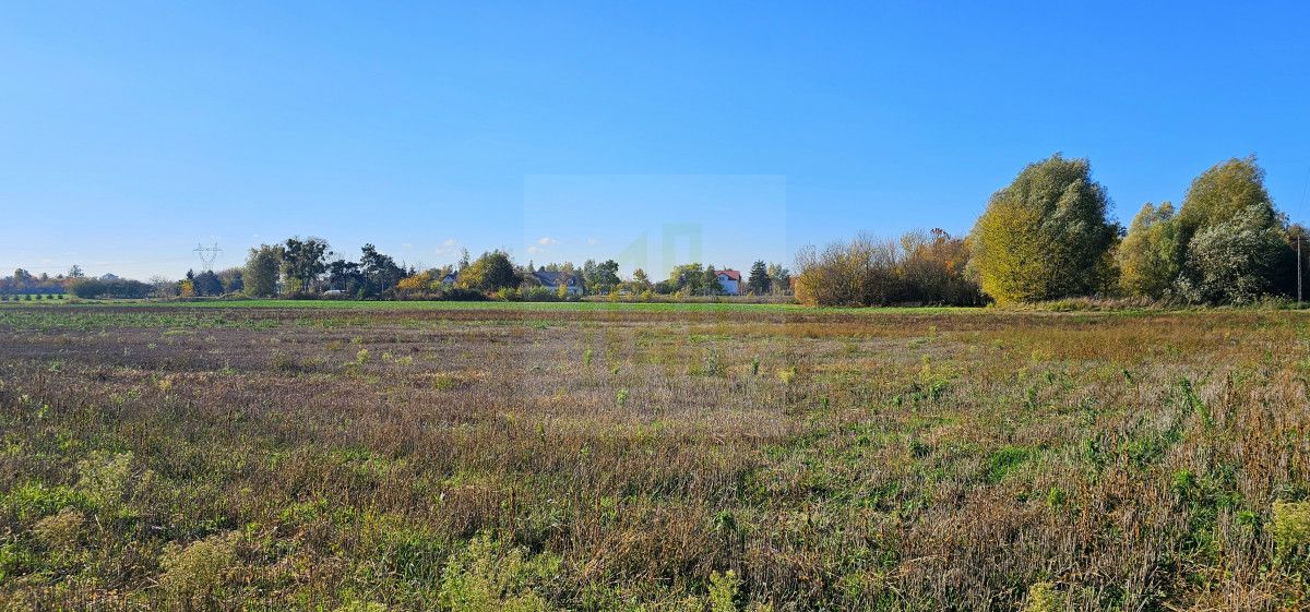 Działka budowlana Bieniewice, ul. Słowicza. Zdjęcie 3