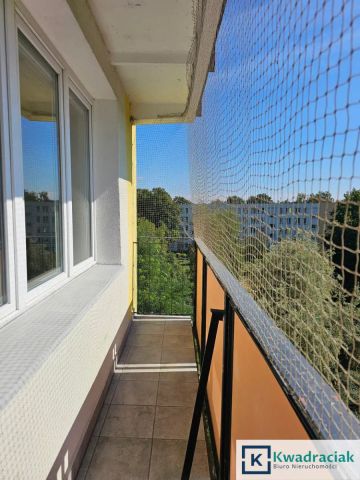 Mieszkanie 2-pokojowe Warszawa Praga-Południe, ul. Ateńska. Zdjęcie 10