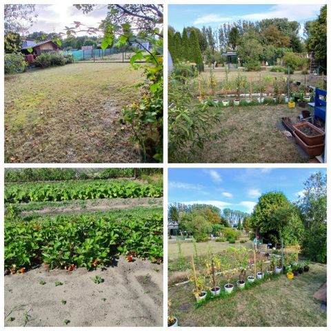 Działka rod Rogoźnik. Zdjęcie 1