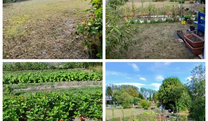 Działka rod Rogoźnik