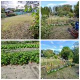 Działka rod Rogoźnik