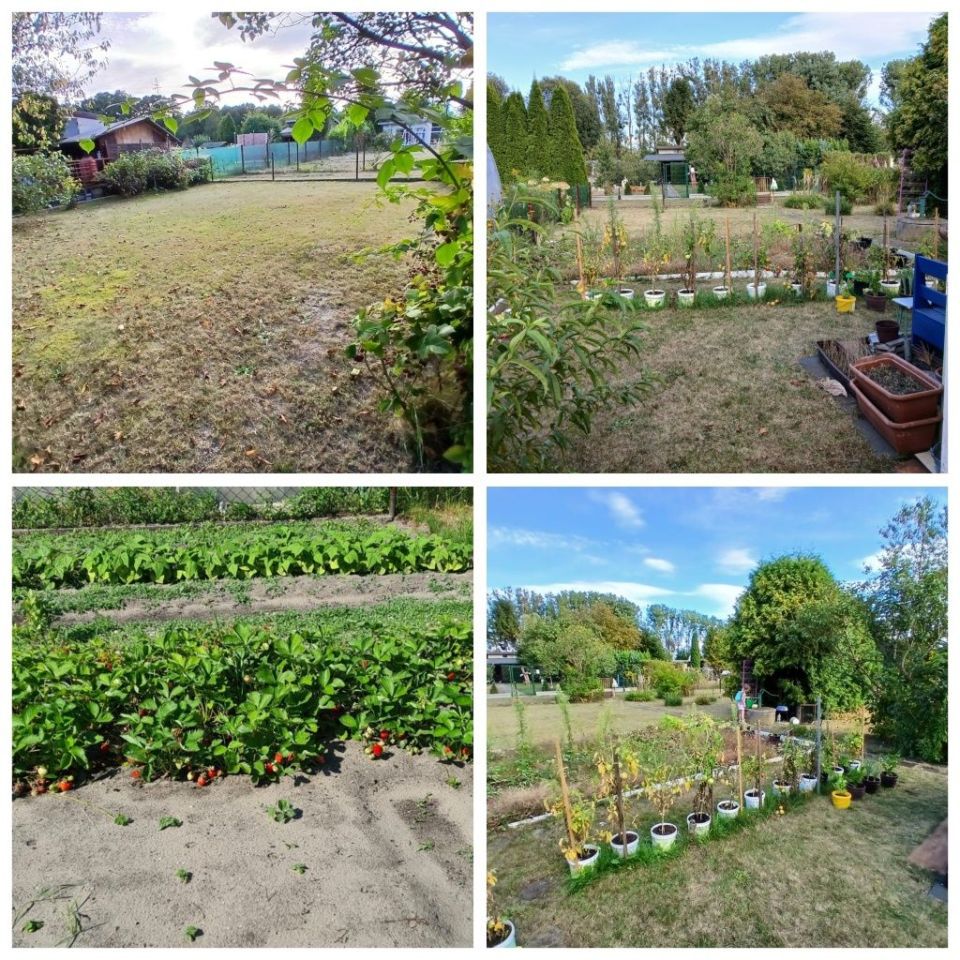 Działka rod Rogoźnik