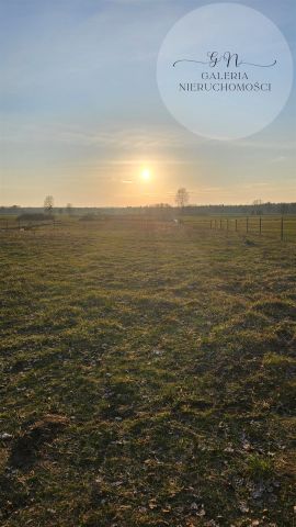 Działka rekreacyjna Nowa Wieś. Zdjęcie 7