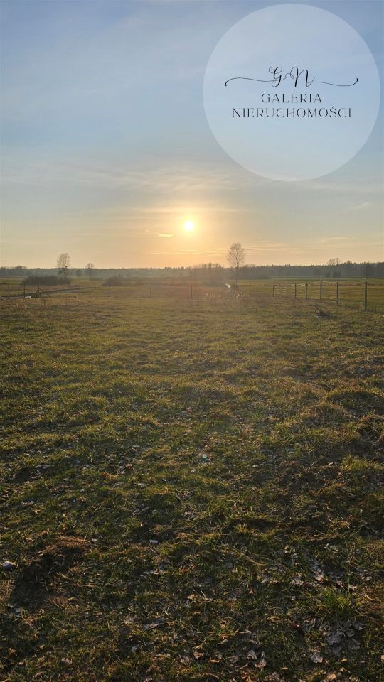 Działka rekreacyjna Nowa Wieś. Zdjęcie 7