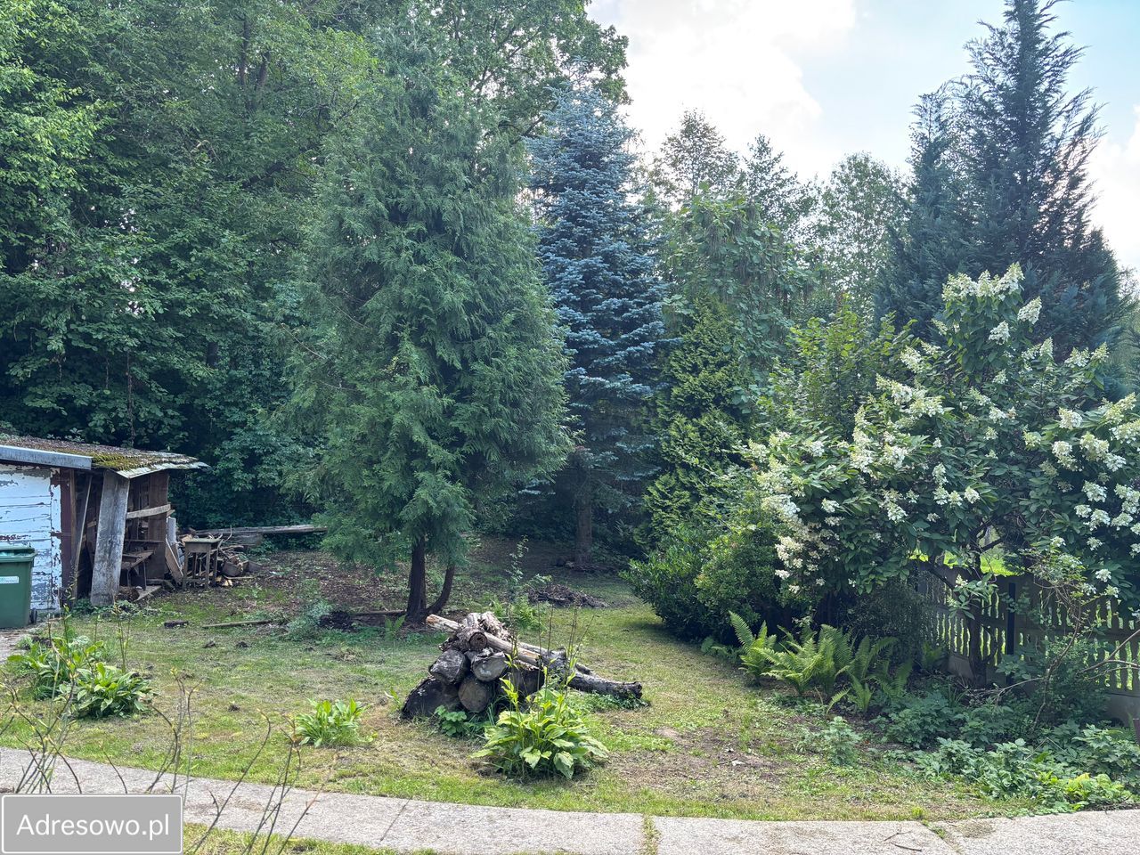 dom wolnostojący, 3 pokoje Zdonia. Zdjęcie 14