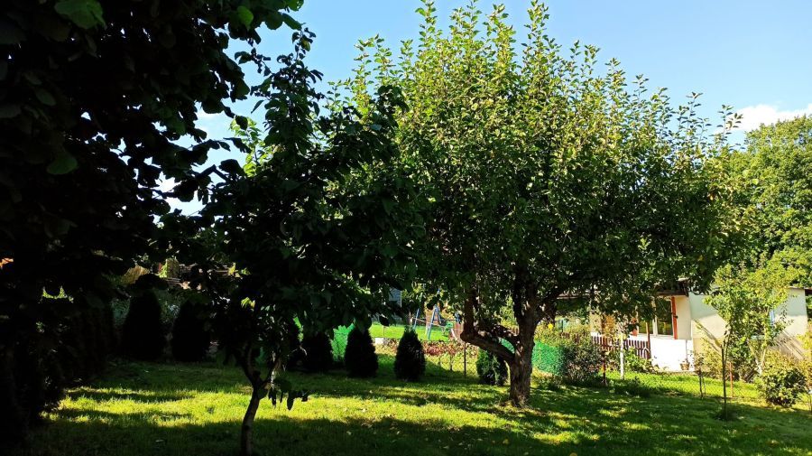 Działka rod Straszyn, ul. inż. A. Hoffmanna. Zdjęcie 4