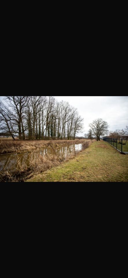 Działka siedliskowa Pleśno. Zdjęcie 3