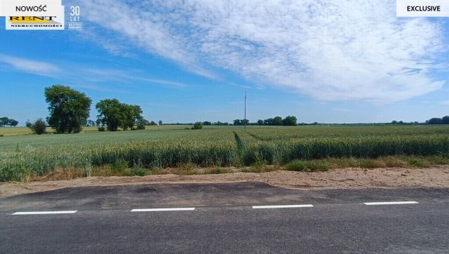 Działka siedliskowa Parsów. Zdjęcie 12