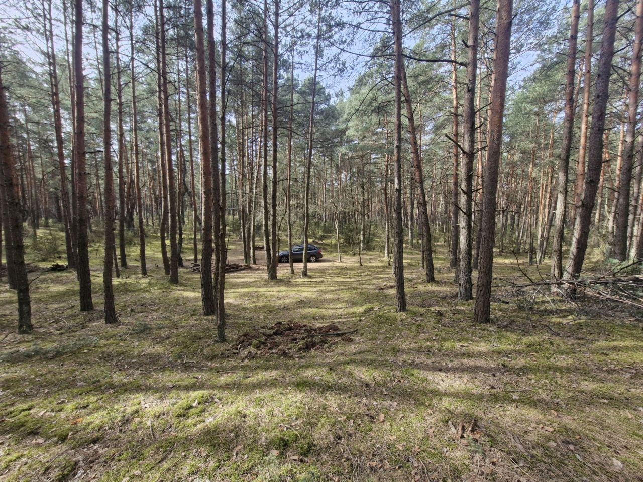 Działka rekreacyjna Lucynów Duży. Zdjęcie 5