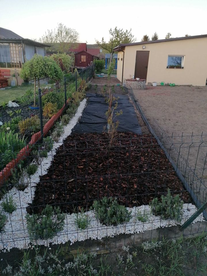 Działka rod Rumia Janowo, ul. Krzemowa. Zdjęcie 7