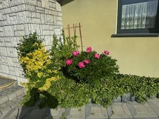 dom wolnostojący, 4 pokoje Bielsko-Biała Lipnik, Władysława Kiernika. Zdjęcie 228