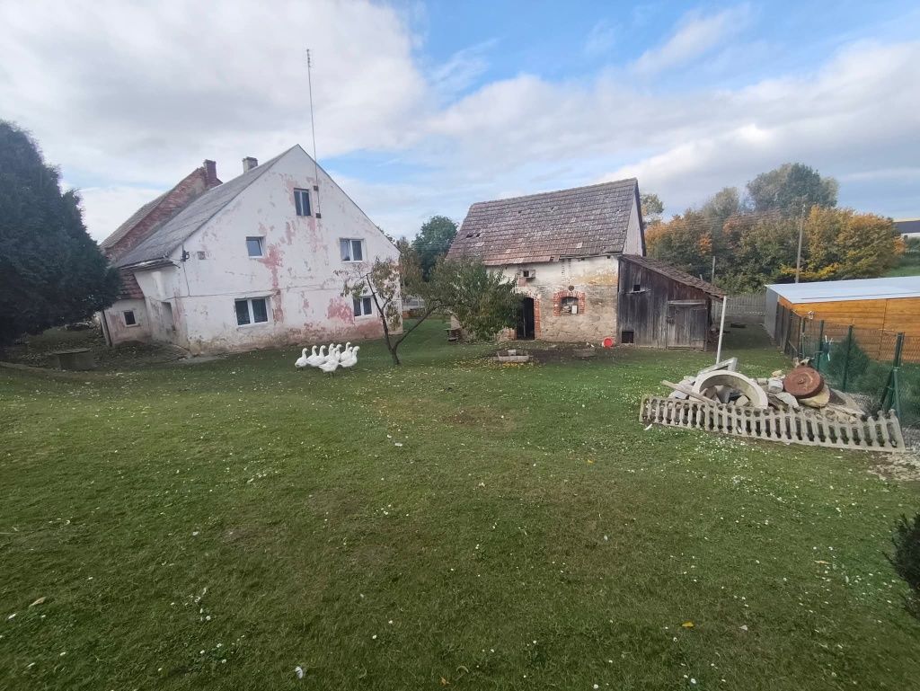 gospodarstwo Kazanów. Zdjęcie 6