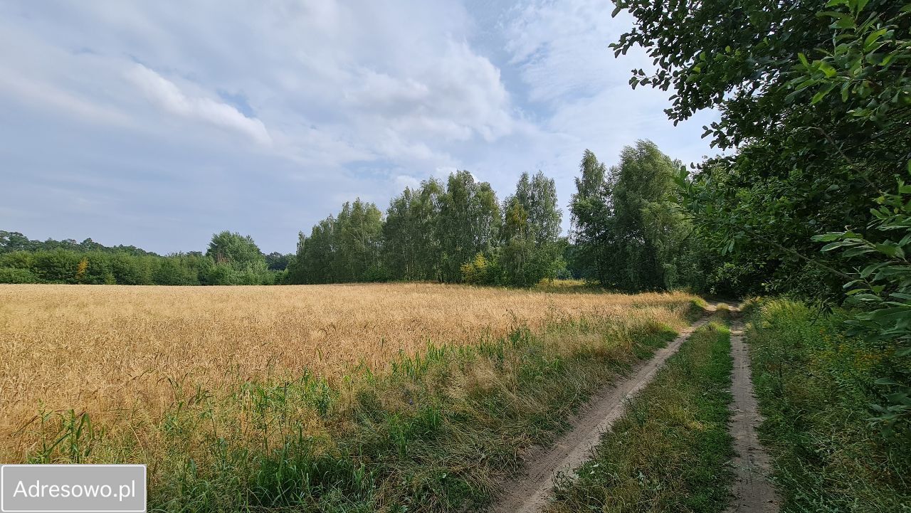 Działka budowlana Wilkowa