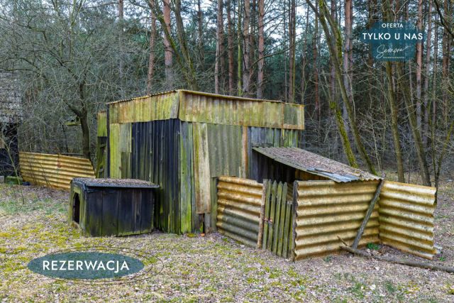 Działka leśna Kije. Zdjęcie 20