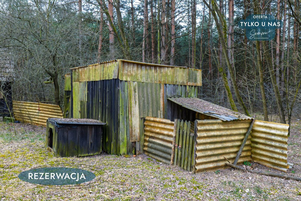 Działka leśna Kije. Zdjęcie 20