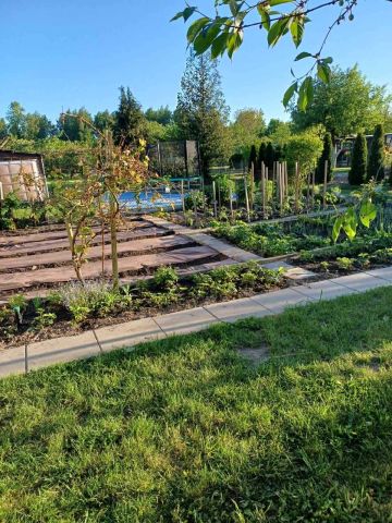 Działka rod Krosno Odrzańskie. Zdjęcie 1