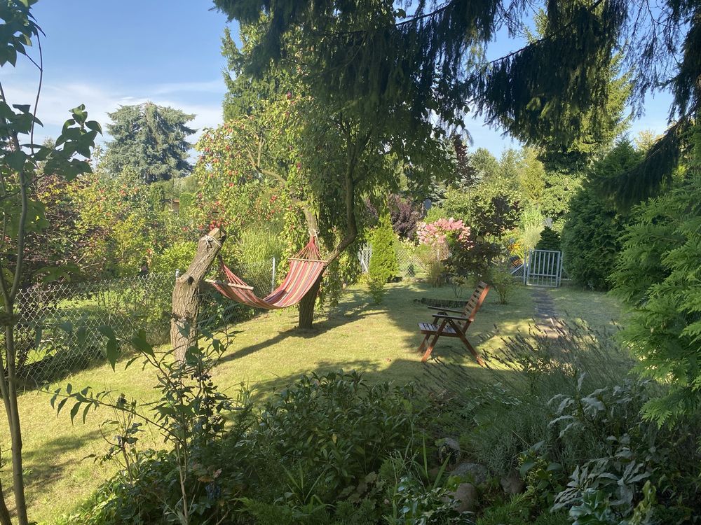 Działka rekreacyjna Łódź Łagiewniki. Zdjęcie 3