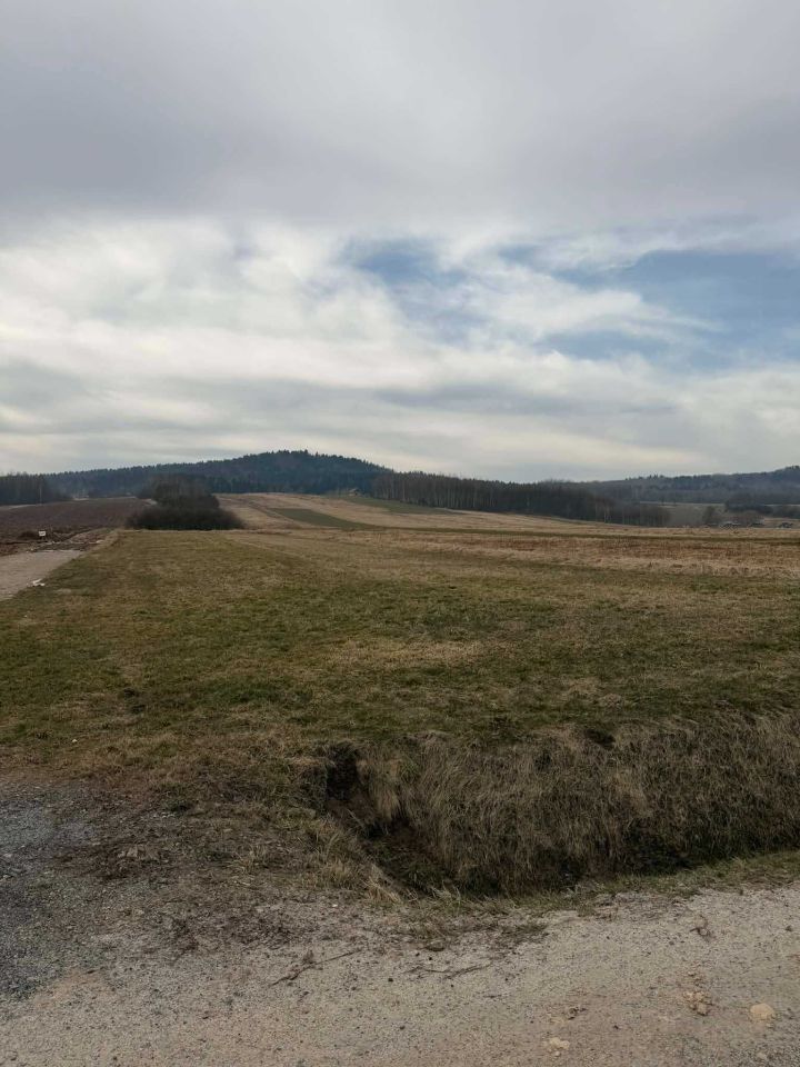 Działka rolno-budowlana Lutcza. Zdjęcie 2