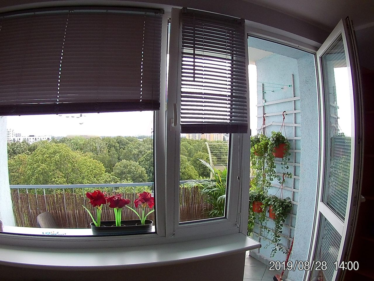 Mieszkanie 2-pokojowe Gdańsk Zaspa, ul. Leszczyńskich. Zdjęcie 7