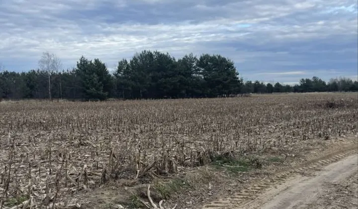 Działka budowlana Kopalina