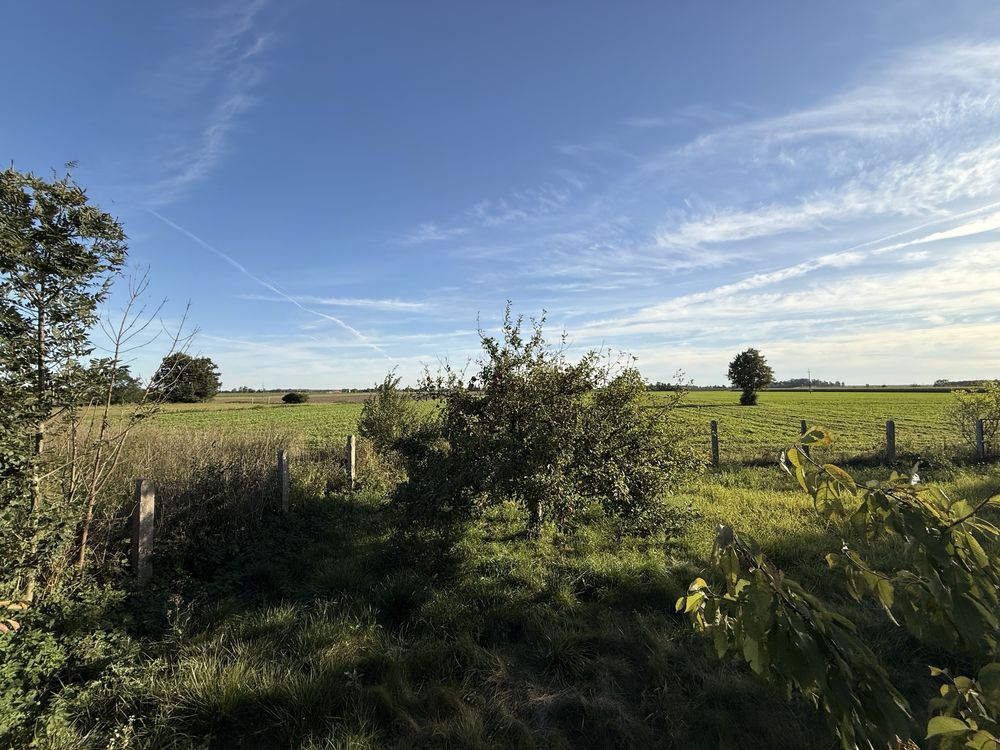 Działka inwestycyjna Czerwonka